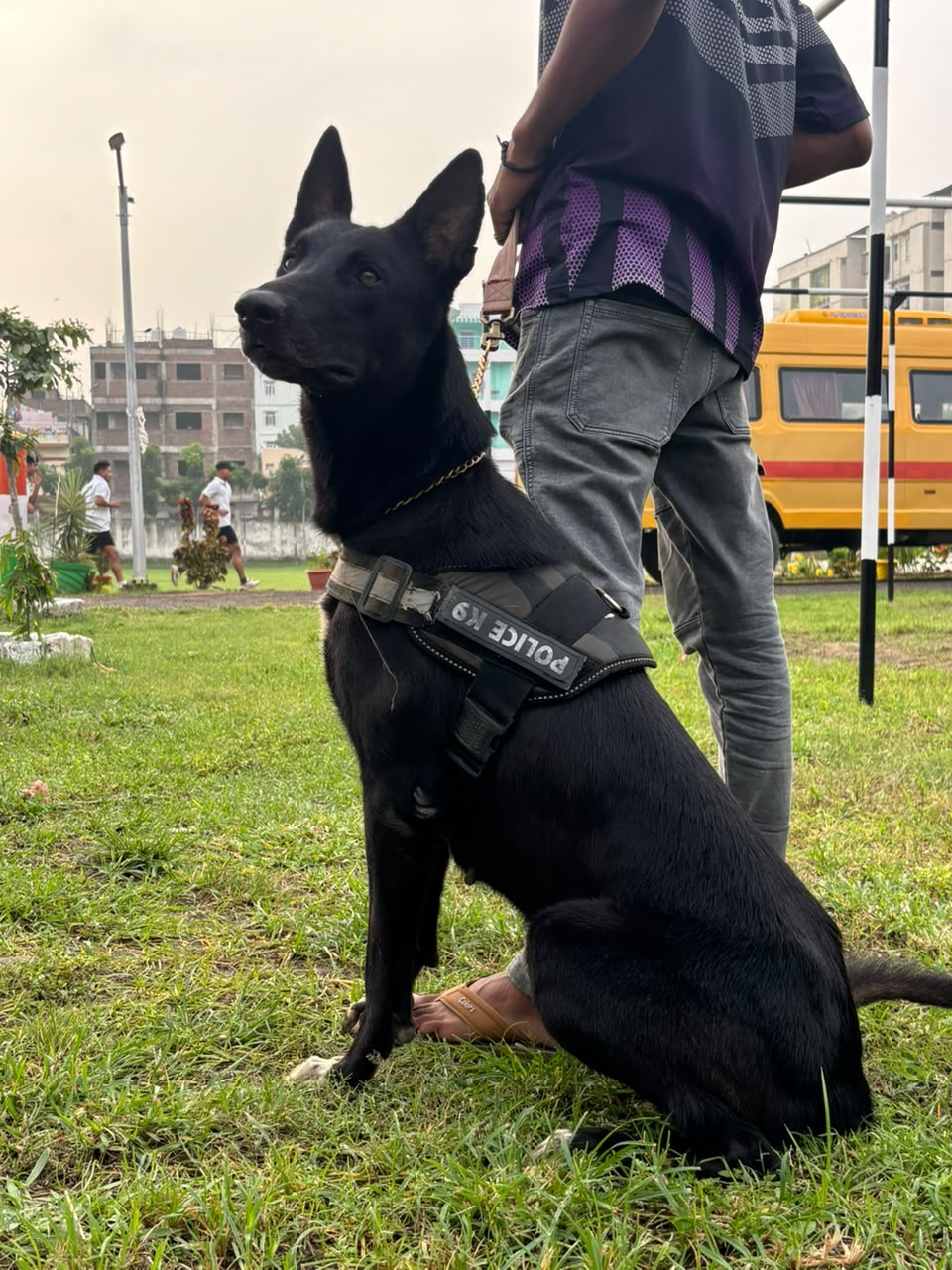 K9 / Dog Squad